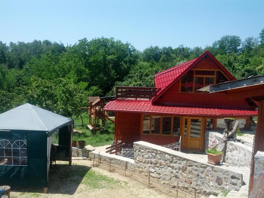 Pensiunea Magdalena Câmpulung Bagian luar foto